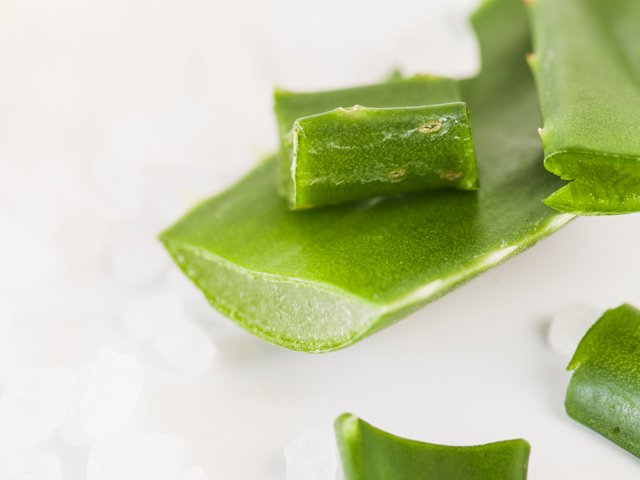 Fresh Aloe Vera leaf with gel